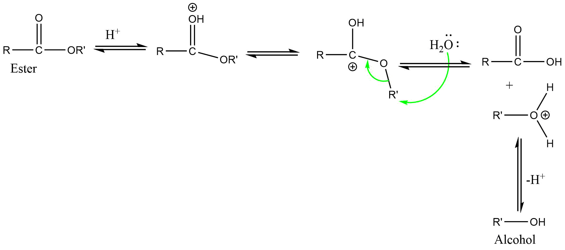 AAL2 (Acid catalyzed alkoxy bond cleavage bimolecular reaction)