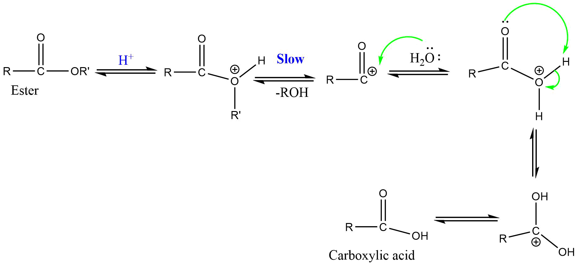 AAC1 (Acid catalyzed acyl bond cleavage unimolecular reaction)