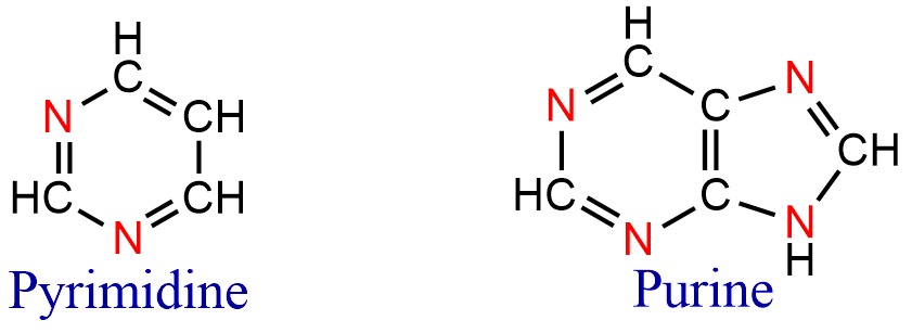 Heterocyclic Compounds
