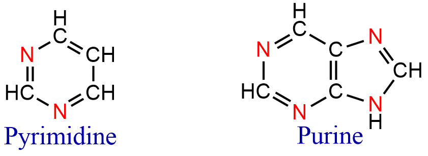 Heterocyclic Compounds
