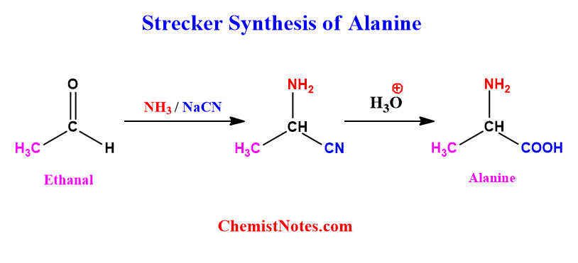 Strecker synthesis of alanine