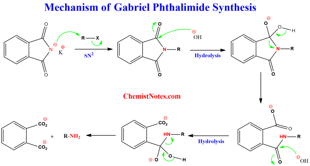 write a note on gabriel phthalimide synthesis