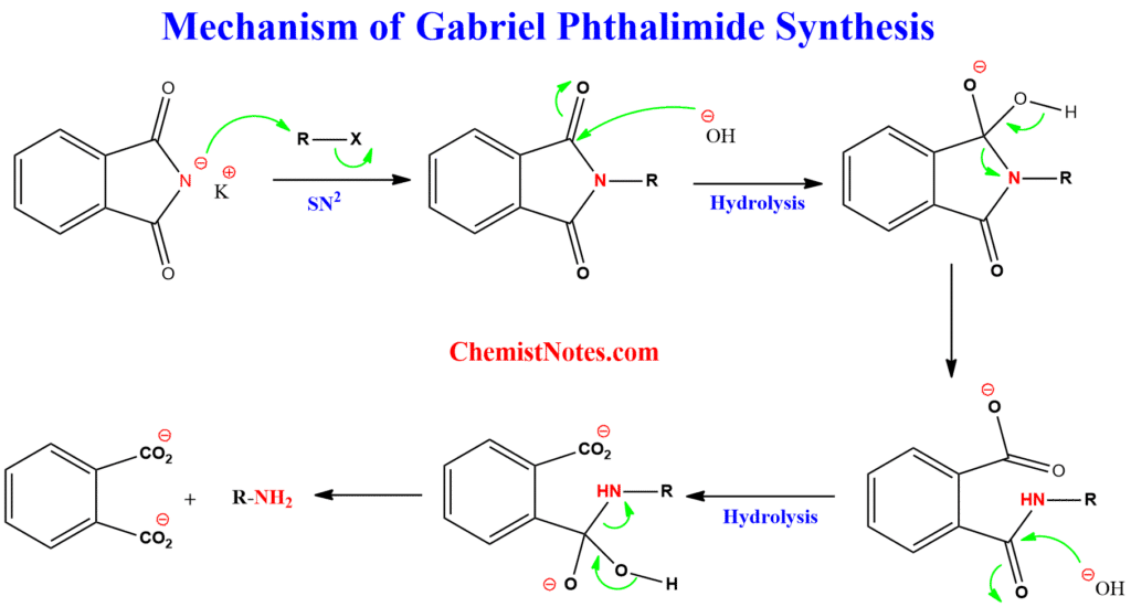 gabriel synthesis mechanism
