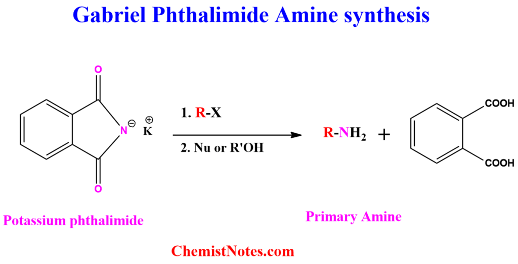 Gabriel Phthalimide amine synthesis