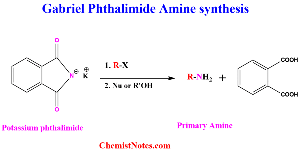 Gabriel Phthalimide amine synthesis