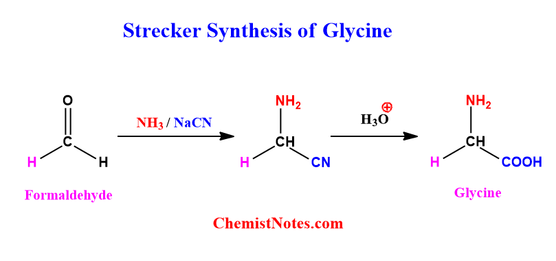 Strecker synthesis of glycine