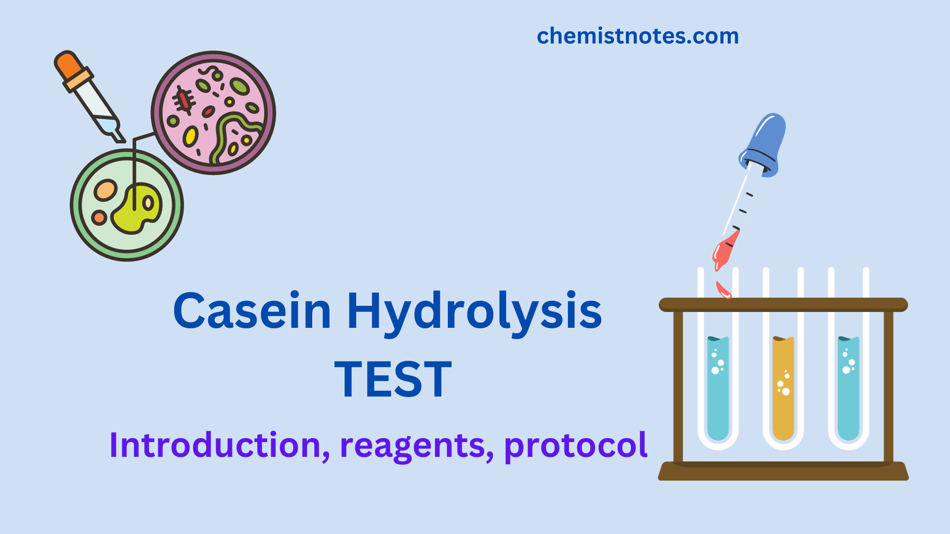 casein-hydrolysis-test-principle-protocol-reagents-and-reliable