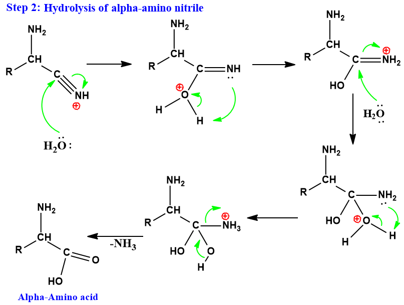 Strecker synthesis mechanism