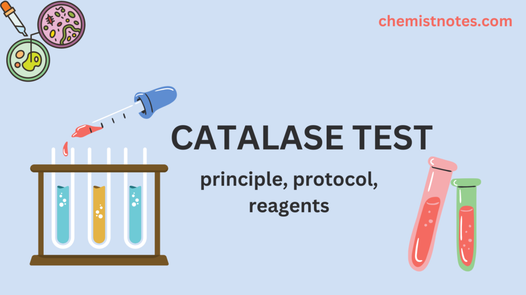 CATALASE TEST