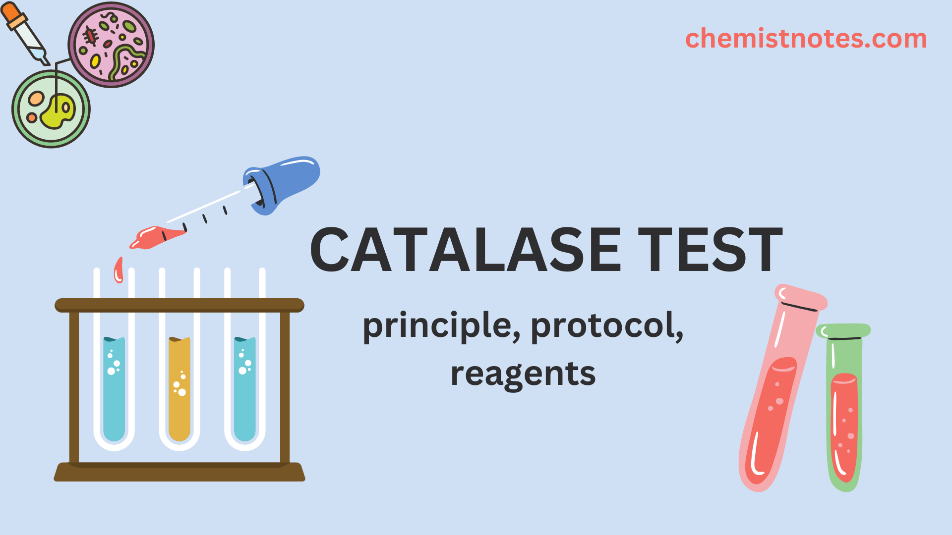 catalase-test-principle-reagent-protocol-application-chemistry-notes