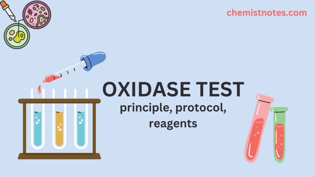 oxidase test