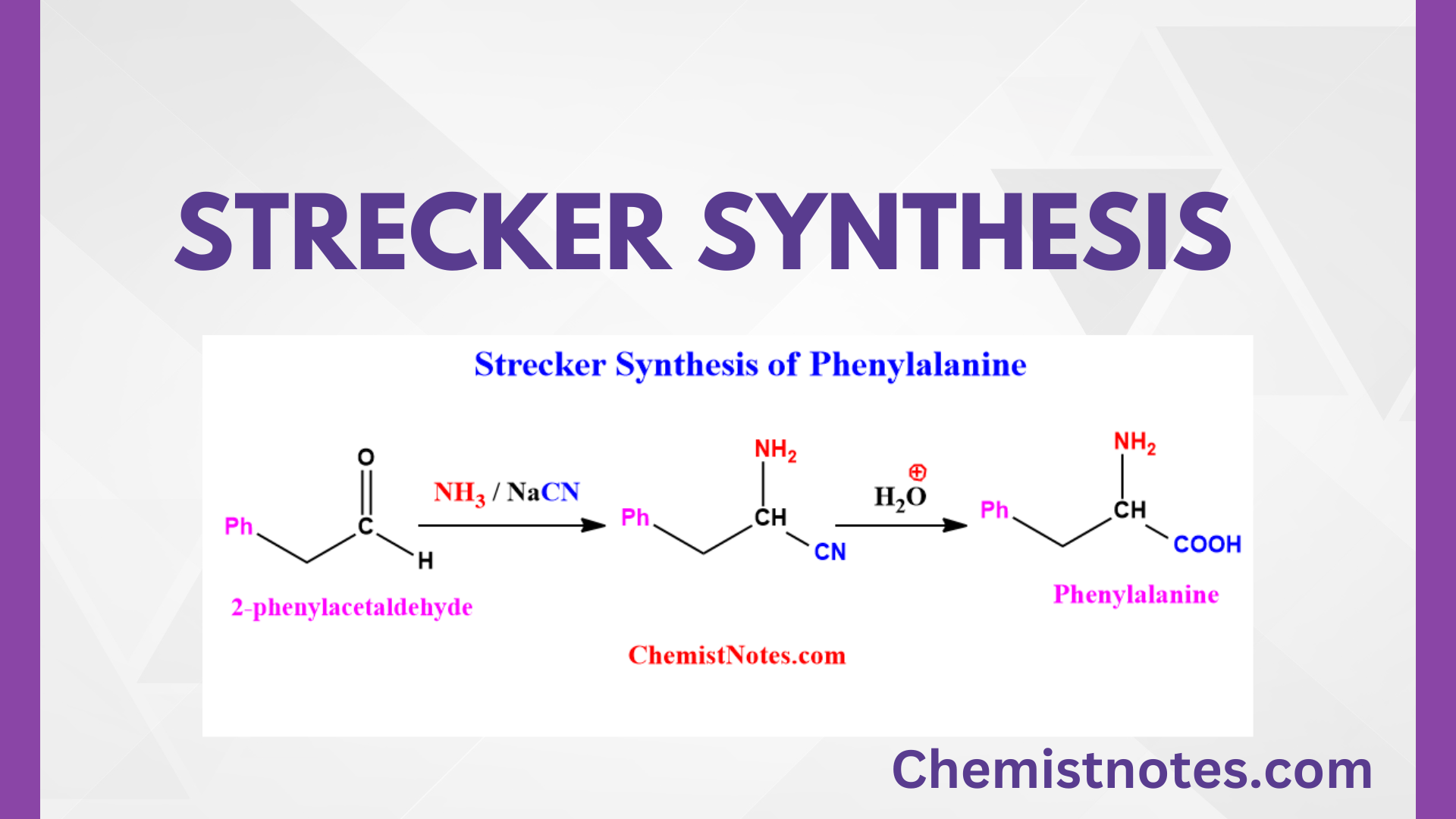 Strecker Synthesis of Amino Acid Easy Mechanism, applications