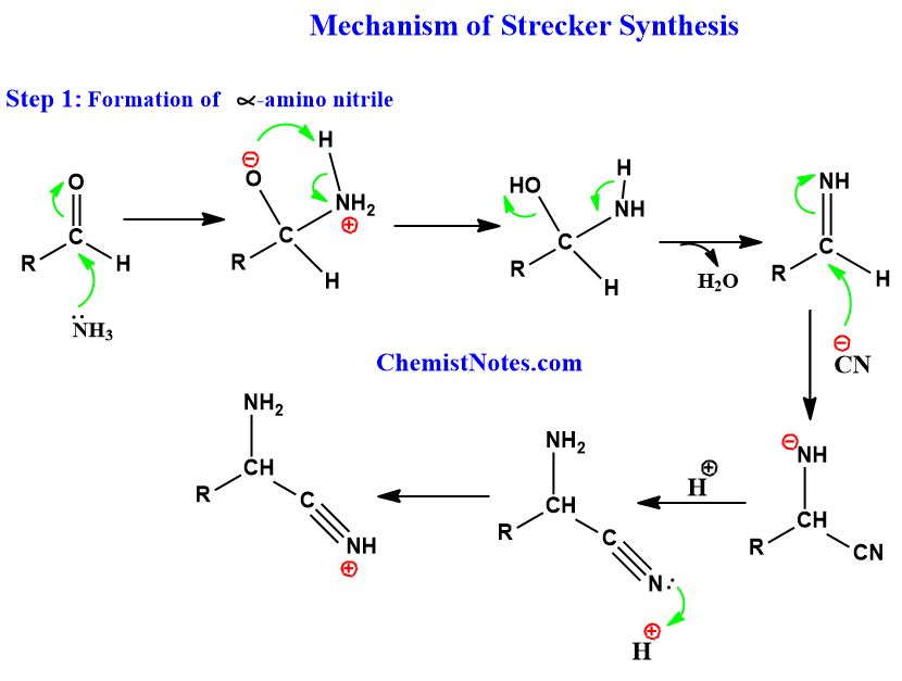 Mechanism of strecker synthesis