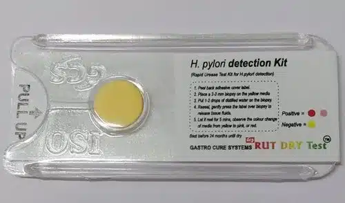 rut dry h pylori rapid urease test kit 500x500 1