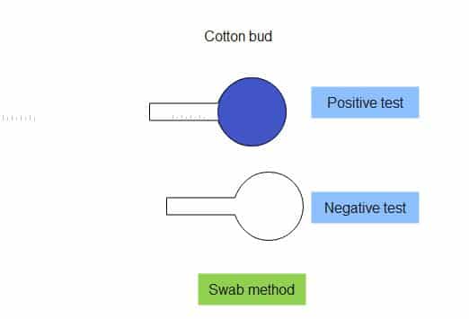 swab test for oxidase test