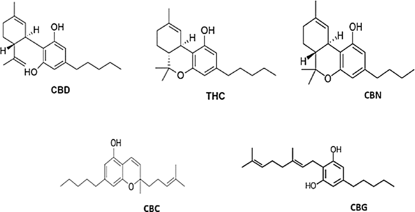 structure of cannabinoids