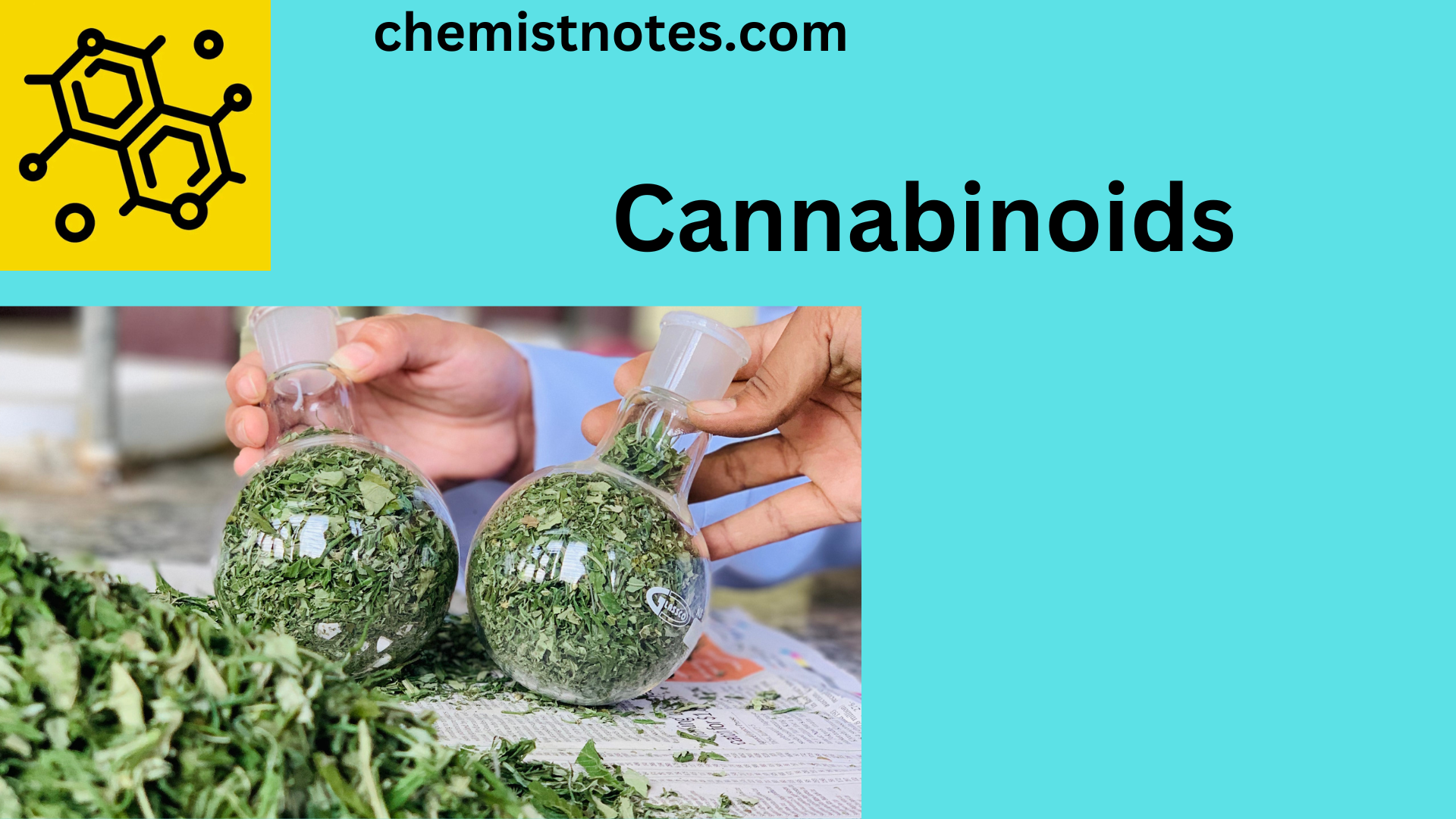 Cannabinoids: Definition, Types, Benefits, And Risk - Chemistry Notes