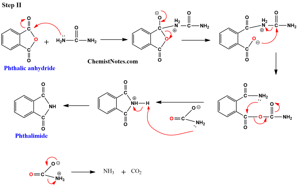 Mechanism involved in the conversion of phthalic acid to phthalimide
