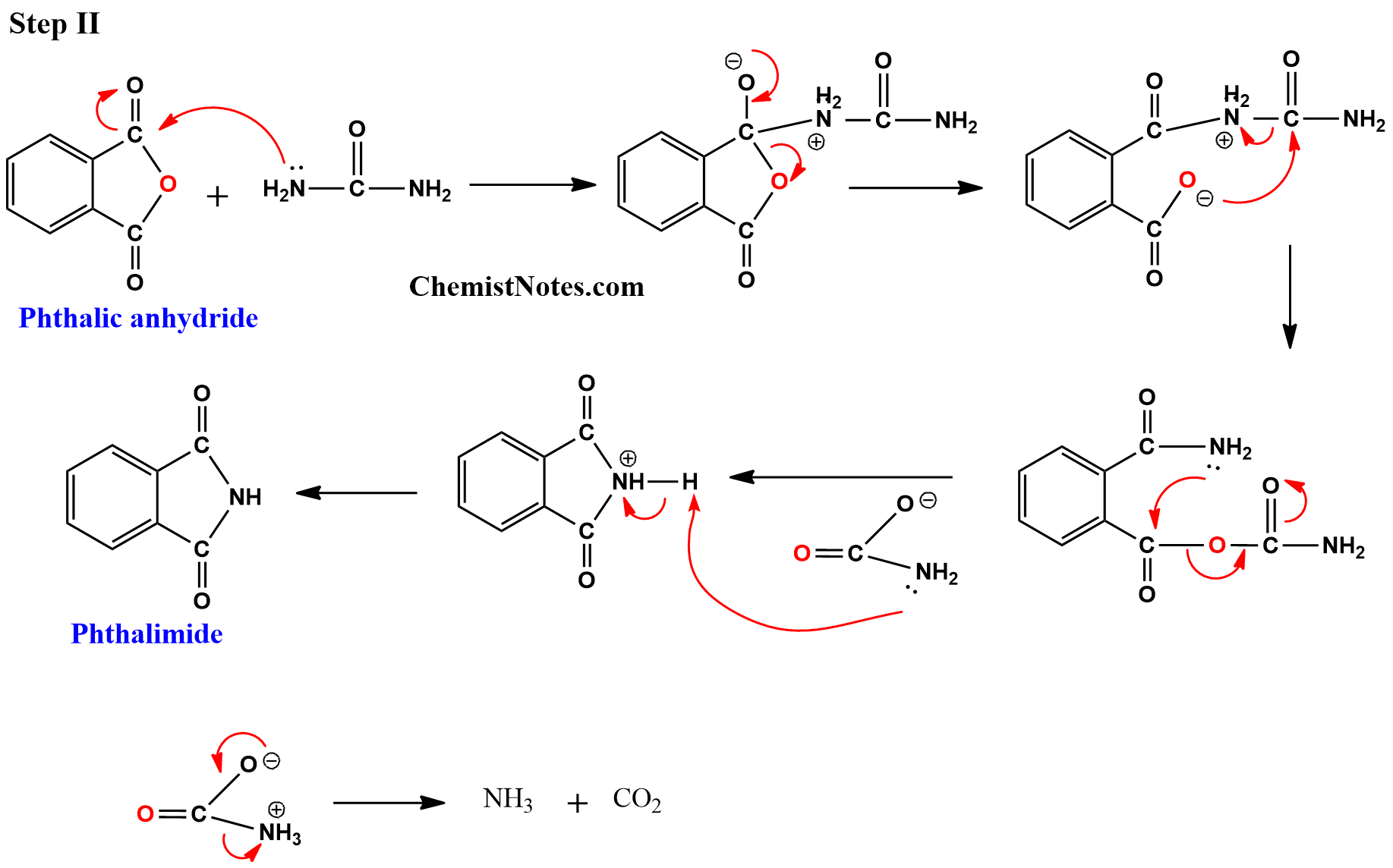 Preparation of Phthalimide from Phthalic acid by two-step synthesis ...