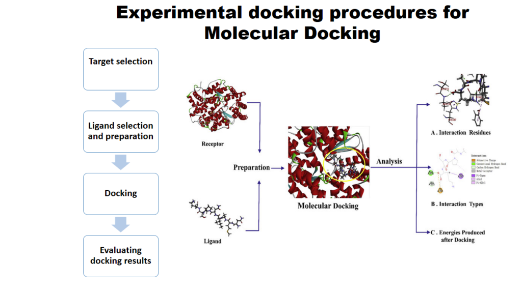 how to perform Molecular docking 